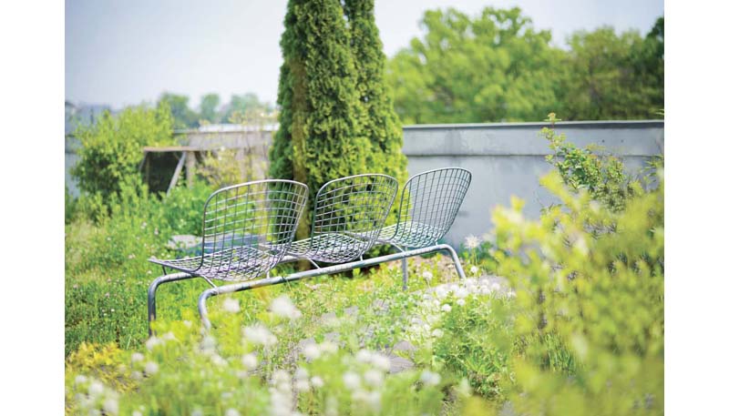 Wire Bench