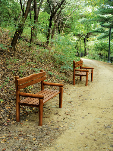 Uncle tom Bench