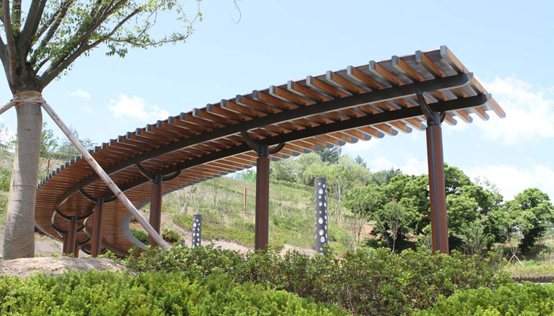 Rafter Pergola