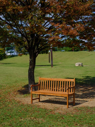 Garden Bench