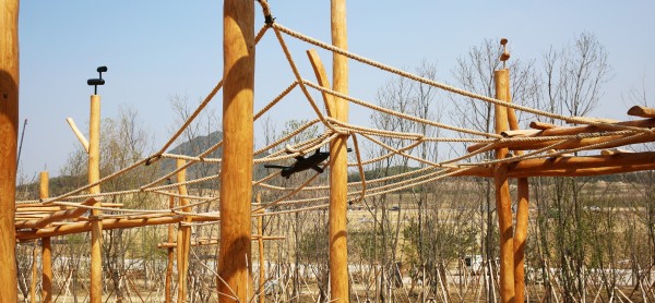 Gyeongbuk Provincial Government's Relocation Commemorative forest