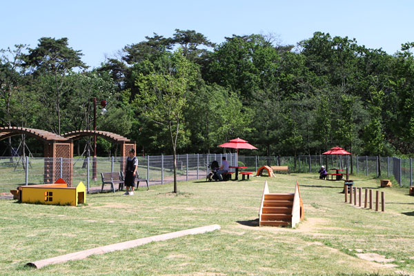 Giheung Lake Park, Dog Playground