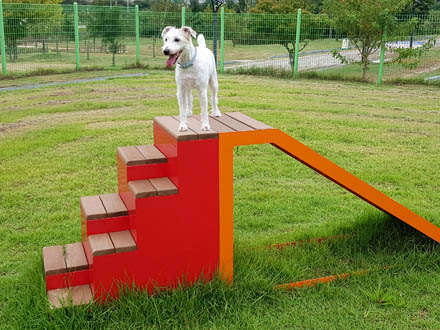 Ziegel Block(Small dogs)